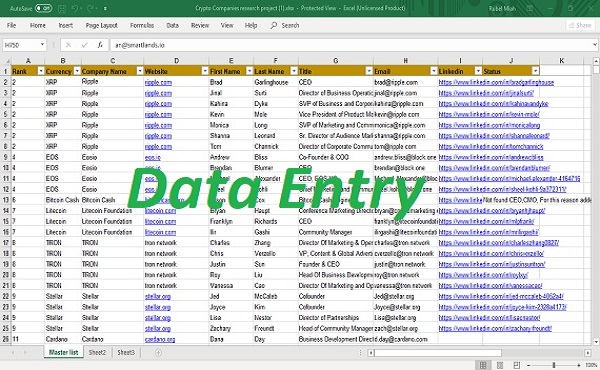 Need a VA For Data Entry, Data Mining, Copy Paste, Web Research