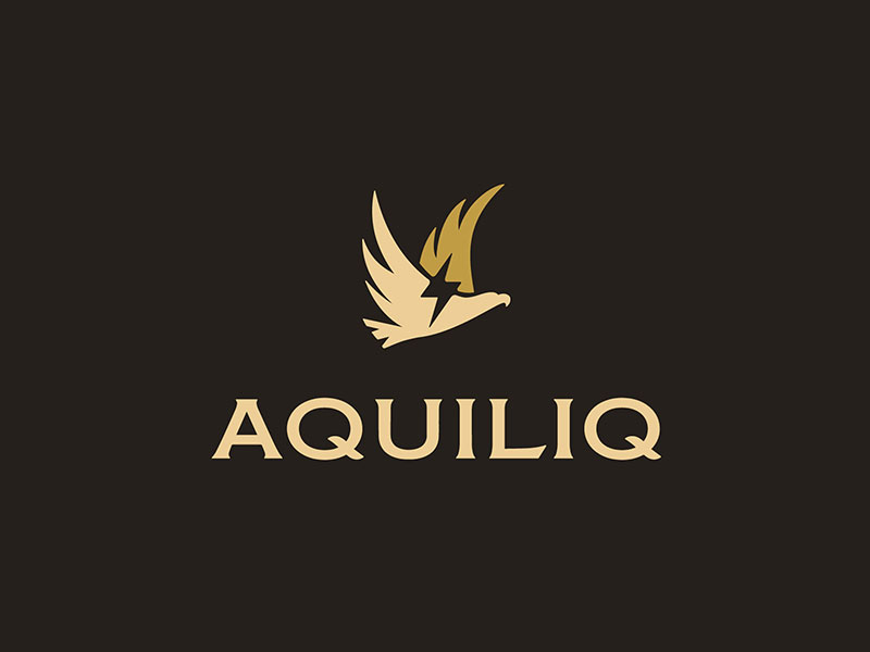 Unique Professional Logo Design for your Brand in 24 hours
