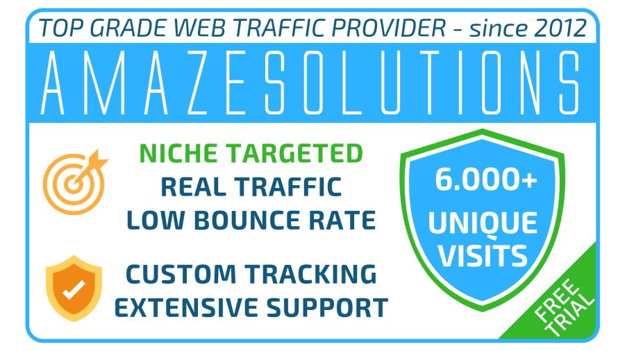 Bring Real Visitors, Targeted You Web Traffic, 6000 Worldwide visitors