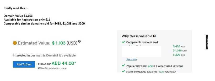 Provide You List Of Premium Domains Available To Register