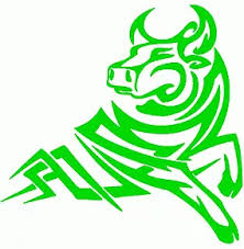 BullsGreen.Com The Most Awesome Reseller Hosting