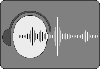 I will remove or attenuate the vocals of any song