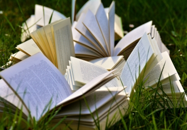 Write 1000 words unique content article