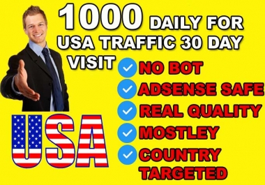 1000 Daily USA Targeted Website Traffic for 30 Days