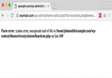 I will solve any error of your wordpress site