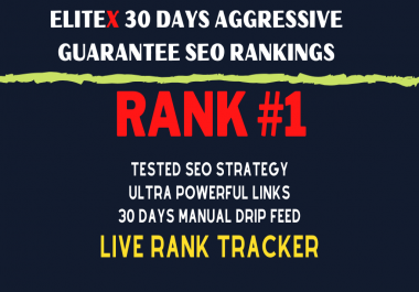 EliteX 30 DAYS Aggressive Guarantee SEO Rankings 100K+ Links