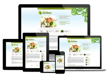Design or Develop or fix WordPress website