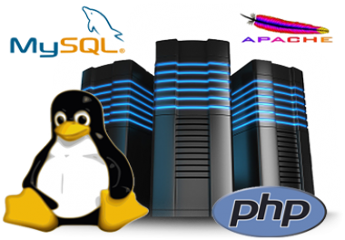 Super fast NVMe SSD high quality webhosting for 1 year