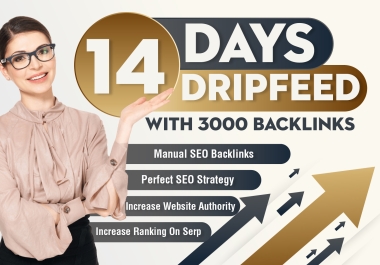 Boost Your Website On Google,  14-Day Dripfeed with 3000 SEO Backlinks