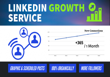 LinkedIn Organic Increase Solutions