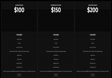 10x High-Quality Homepage PBN Backlinks With 30+ TF & Low OBL