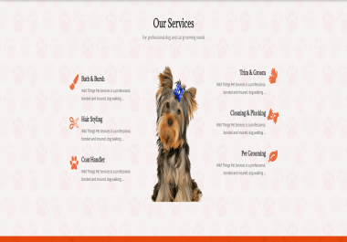 Develop a Professional Volusion Website