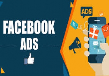 setup and optimize ads campaign with Laser targeted audience