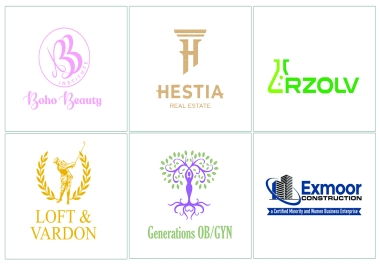 I Will Design a PROFESSIONAL LOGO in 24 hours