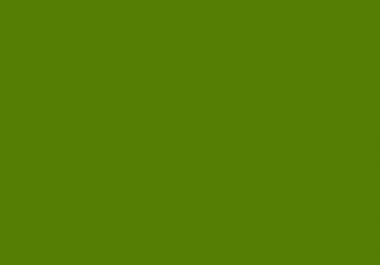 I will create a professional Ecommerce Store in Shopify