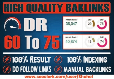 200 Permanent DR 70 Homepage PBN Dofollow Backlinks RANK ON 1ST