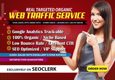 I will drive 100000 Real Targeted Organic Web Traffic for 1 Month