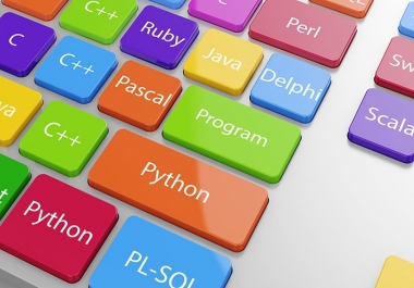 C,  JAVA,  C +,  Oracle Database,  SQL Database Developer