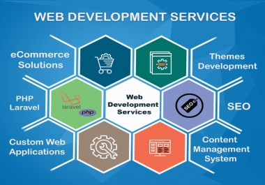 I will develop or design responsive wordpress website