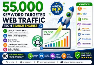 I Will Send 55000 High Quality Keyword Targeted Traffic from Search Engines Promote Any Website