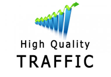 50,000 Website Vistitors to your URL or Website