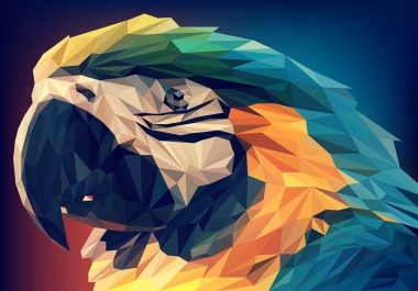 Geometric Illustration from an image photo.
