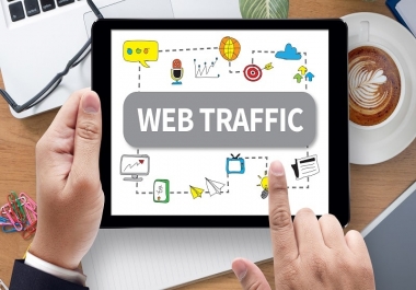 295.000+ Real Worldwide Traffic