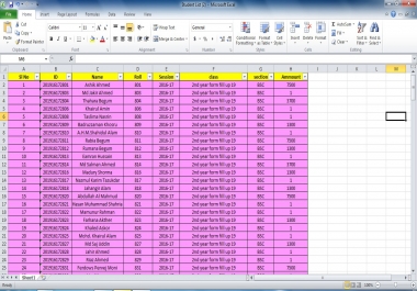 I do any type of data entry work