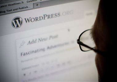 Autoblog Setup - Wordpress - FOR ANY NICHE
