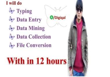 permanent data entry, and excel web research and copy paste