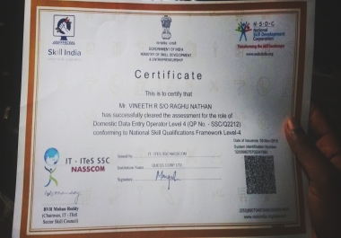 Domestic Data Entry Operator Level 4 Indian Govt. Ceritified