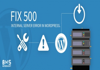 I will fix any wordpress error or issues