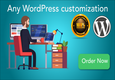 Any WordPress customization,  speed optimization,  fix errors so on.
