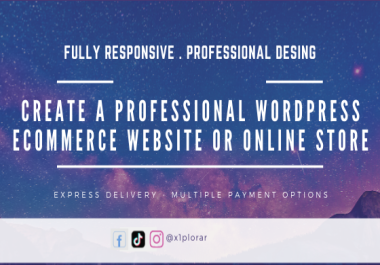 create a professional wordpress website or online store