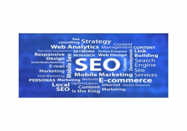 I will do on page SEO on wordpress
