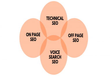 I will do on page optimization