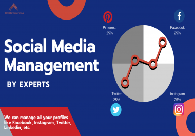 I Will Be Your Social Media Manager For 30 Days And Post 2-3 On Daily Basis