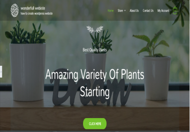 i will create professional wordpress for you