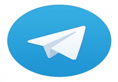 Developer,  web,  telegram,  scripting,  c +,  Java