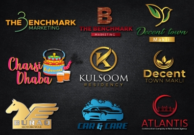 I will design a high quality business logo within 1 day