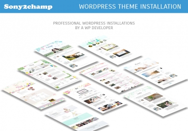 All-in-One WordPress Website Launching Pack,  Looking for the Best Wordpress Expert