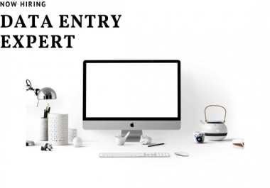 I will do perfect data entry, typing,  data collecting and copy paste work
