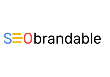 I will provide a professional SEO audit within 3-4 days