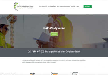 professional wordpress custom theming