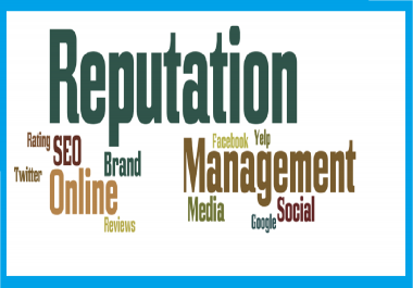 I will improve your online reputation management,  orm,  reverse seo