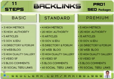 I will Perform Pro1 SEO Package and Explode Your Ranking