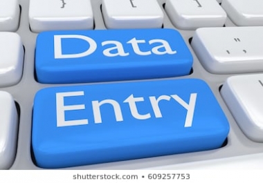 Any kind of Data entry work,  virtual assistant,  form filling etc.
