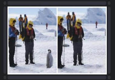 I will retouch images and remove background or objects