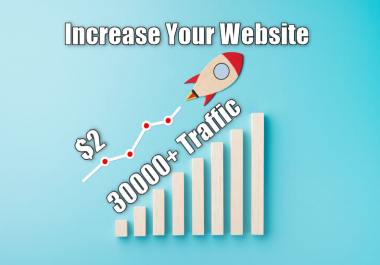 30,000+ keyword targeted Organic traffic from google