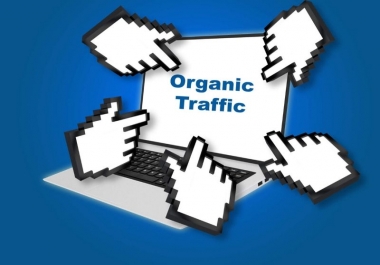 I will niche targeted USA web traffic